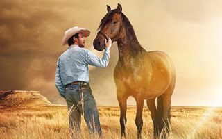 the_rider