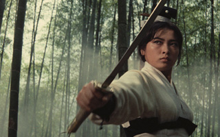<span style='color:grey;font-size:13px;'>12. - 18.10. | ZEITLOS-Filmreihe</span><br/> A Touch of Zen (OmU)