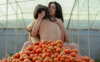 Canary_Tomato_Arc_Festival