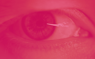 Visionaer_Festival