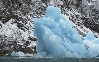 Greenpeace_Multivisionsshow